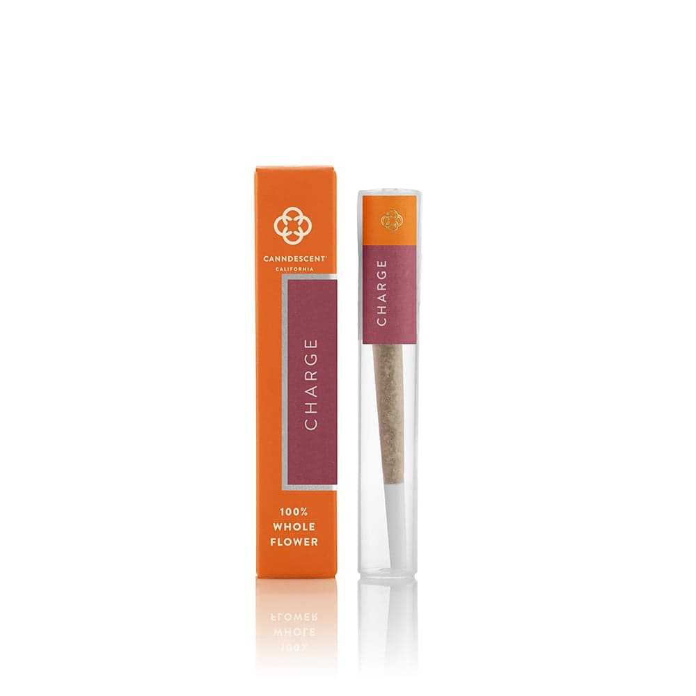 CHARGE 519 — Sour Cream [1g]