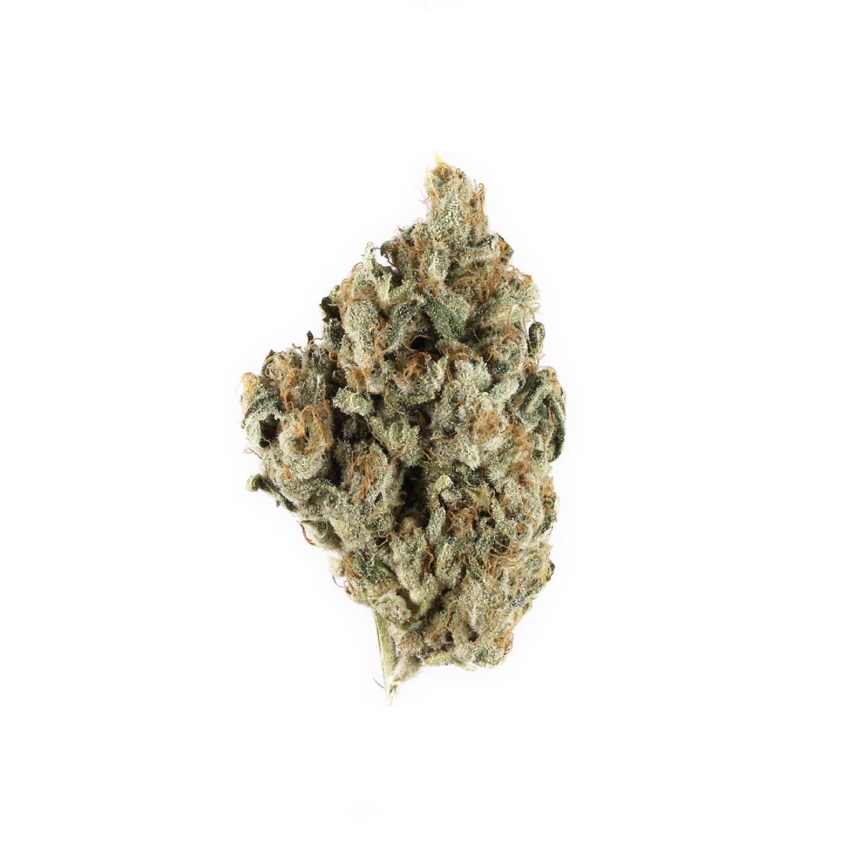 Blackberry Kush