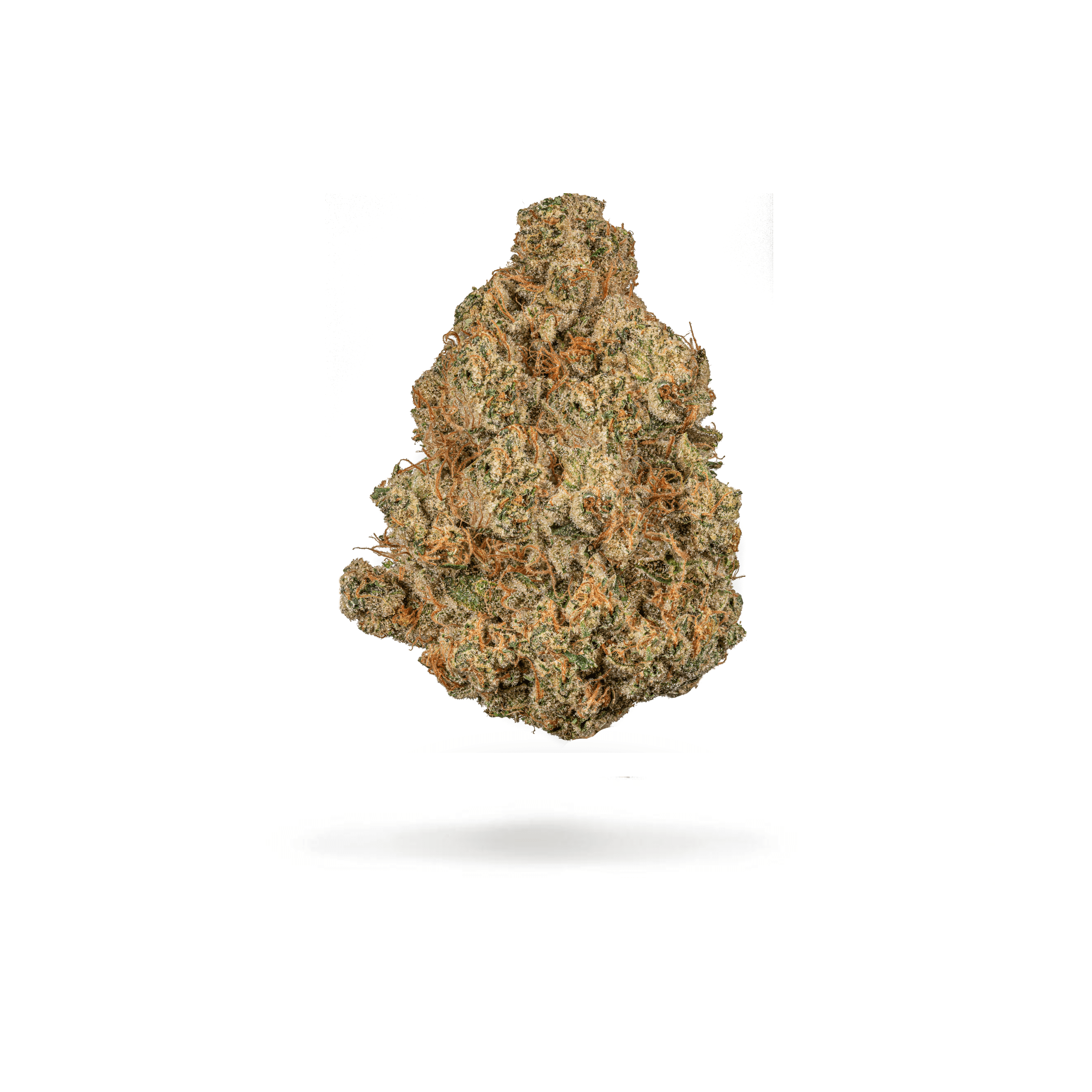 CARAMEL APPLE ROMULAN - PR