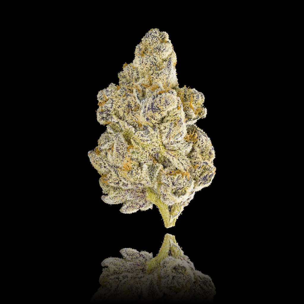 Honey Lemon Hibiscus [3.5g]
