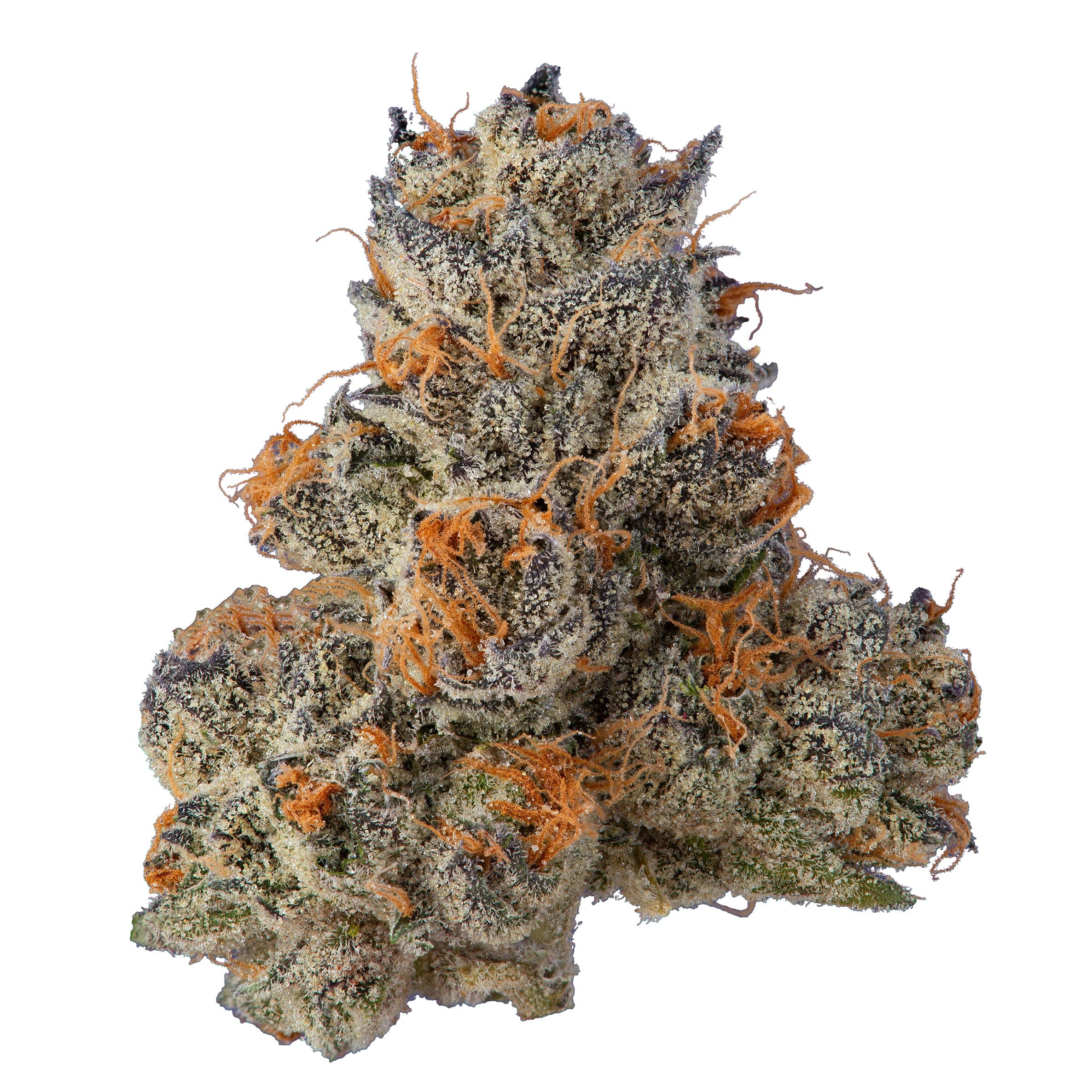 Krypto Chronic