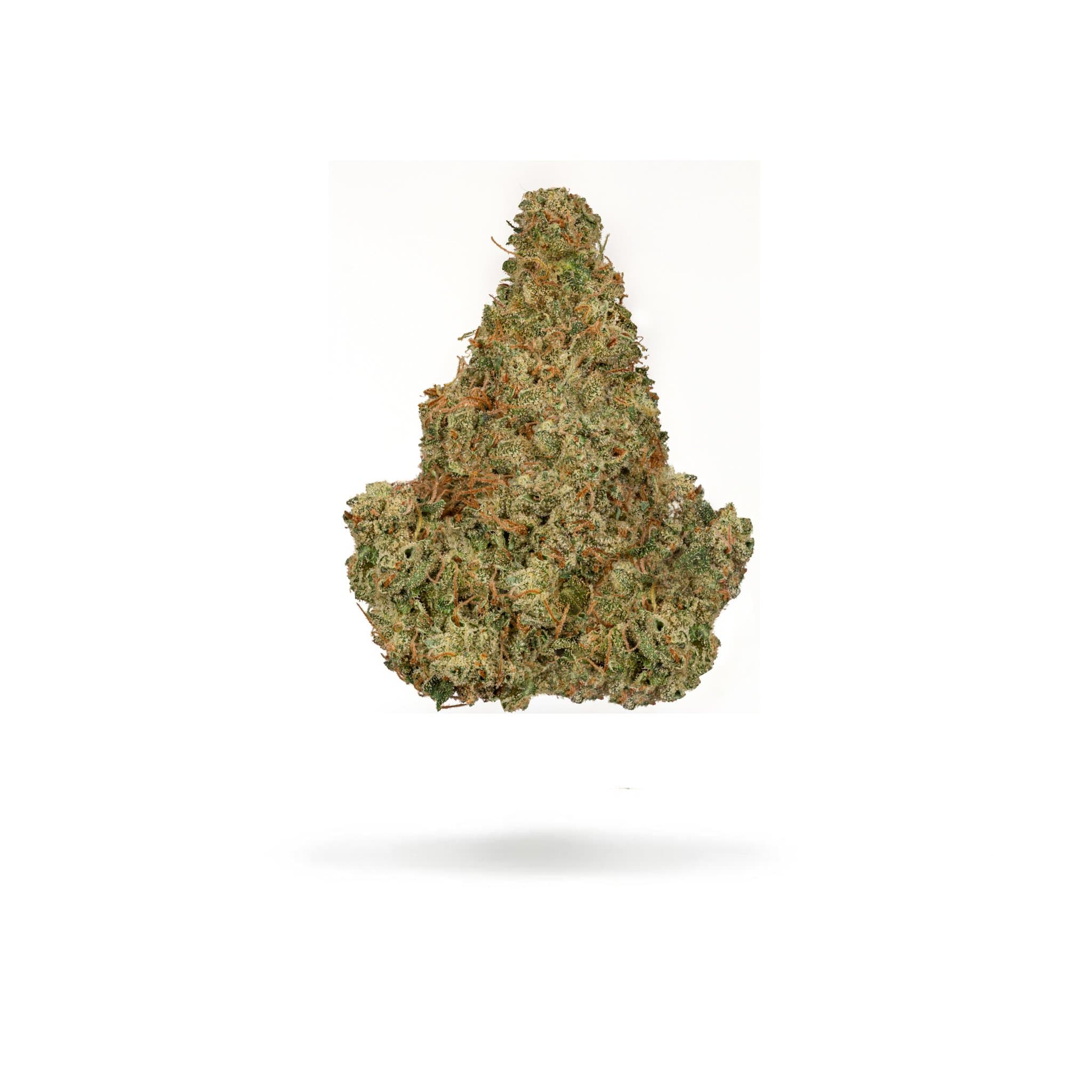 DURBAN POISON
