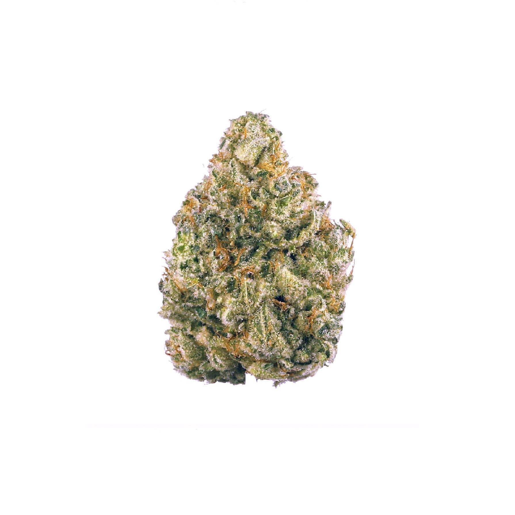 Chem Dawg