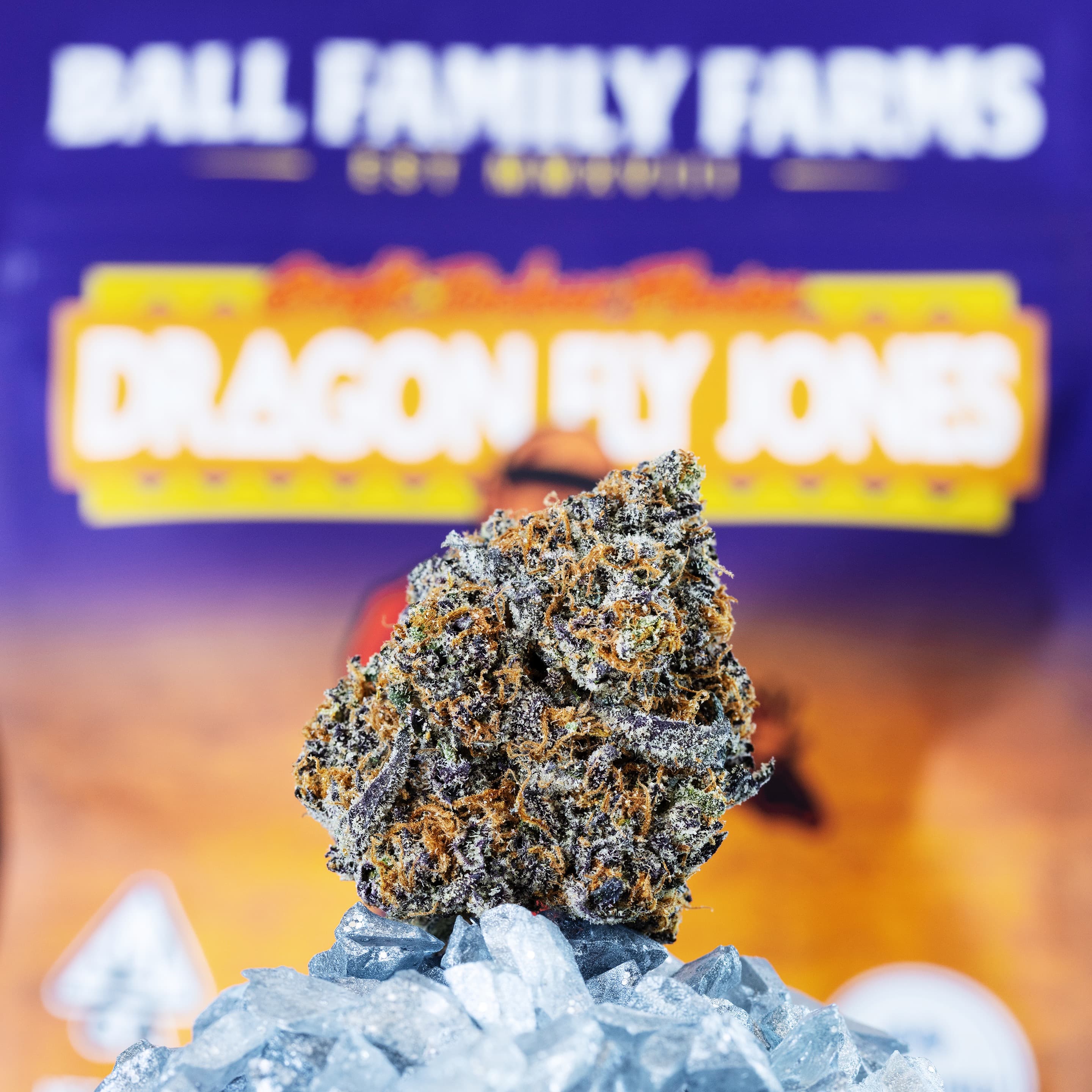 Dragonfly Jones