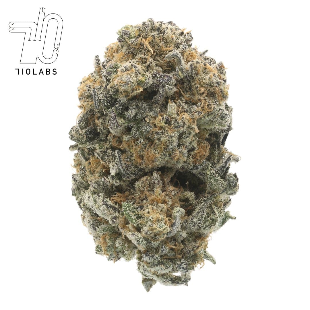 Grease Bucket #9