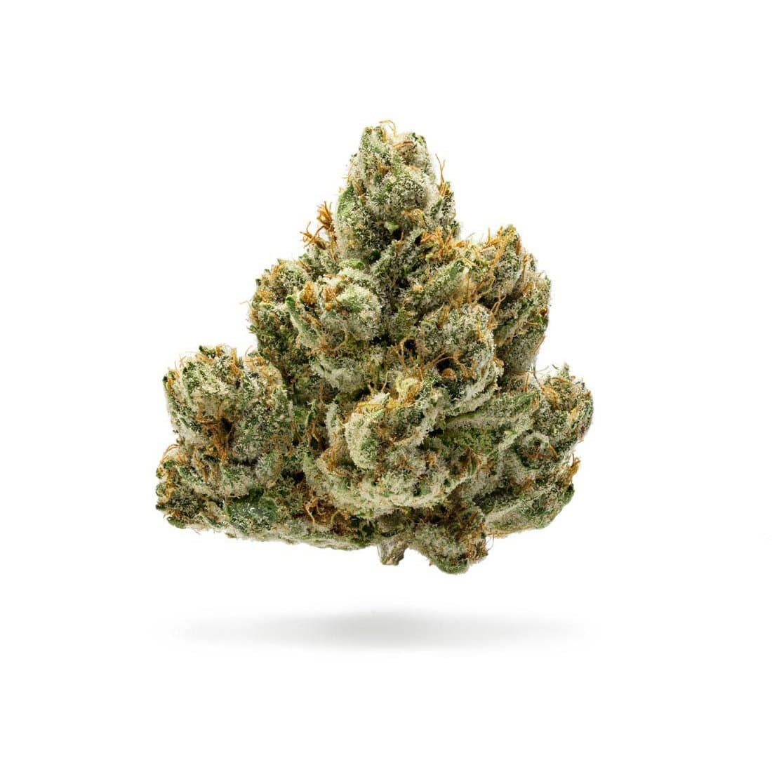 TITAN OG - PR